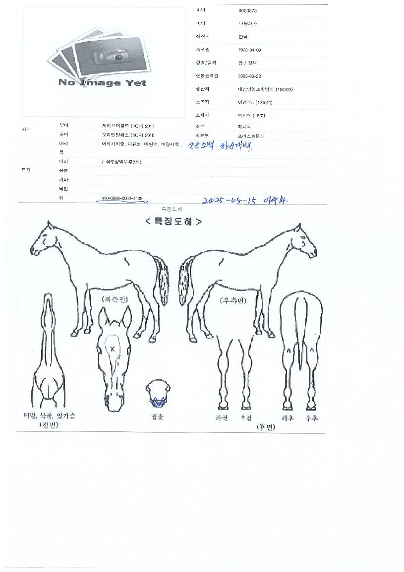 ³ª¿ÃÆÐ½ºÀÇ Ãø¸é,¿ì¸é,µÞ¸é,µÎ»ó,´Ù¸®ÀÇ Æ¯Â¡µµÇØ