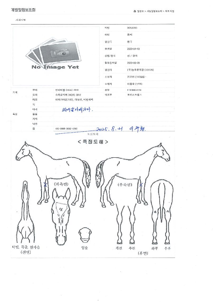 ������ ����,���,�޸�,�λ�,�ٸ��� Ư¡����