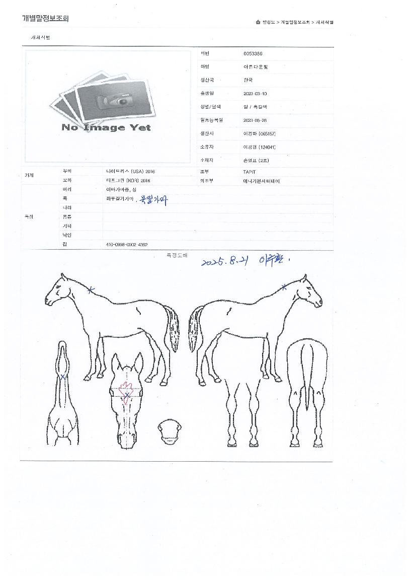 �Ƹ��ٿ���� ����,���,�޸�,�λ�,�ٸ��� Ư¡����