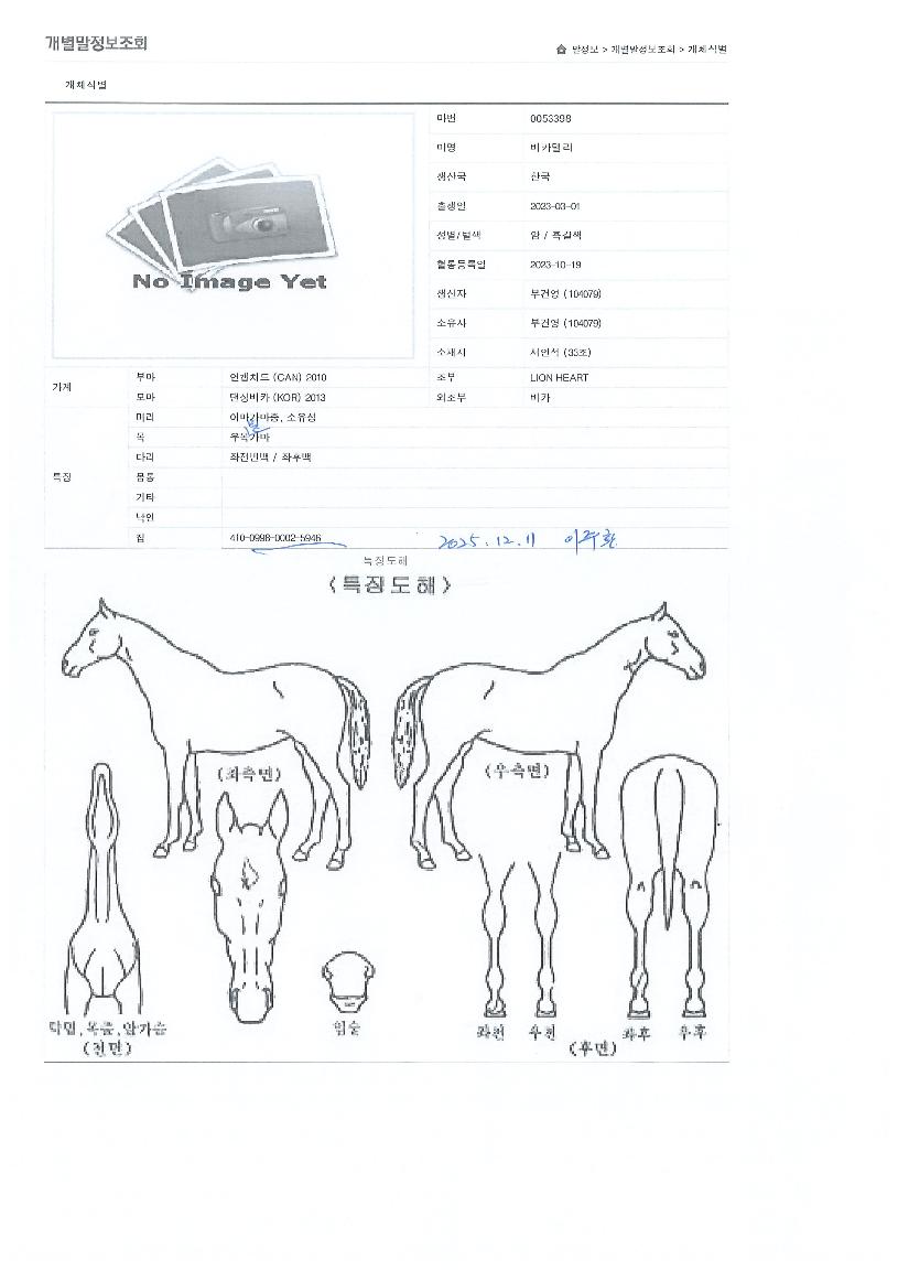 ��ī������ ����,���,�޸�,�λ�,�ٸ��� Ư¡����