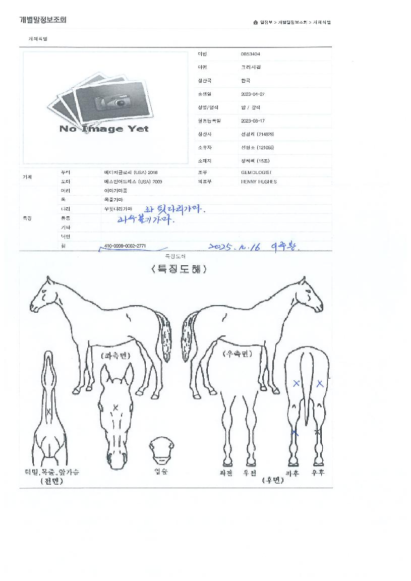 ũ���ð��� ����,���,�޸�,�λ�,�ٸ��� Ư¡����