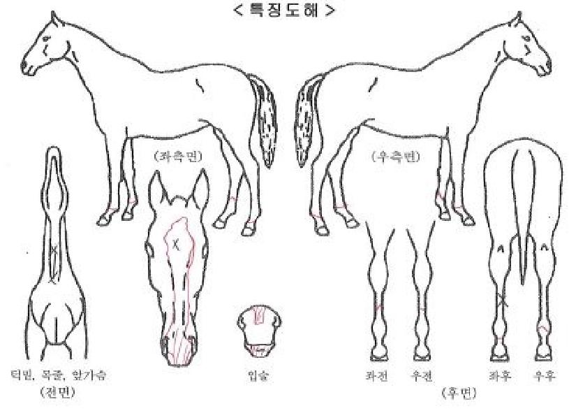 ���̽������� ����,���,�޸�,�λ�,�ٸ��� Ư¡����