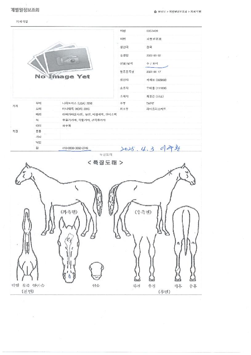 ������������ ����,���,�޸�,�λ�,�ٸ��� Ư¡����