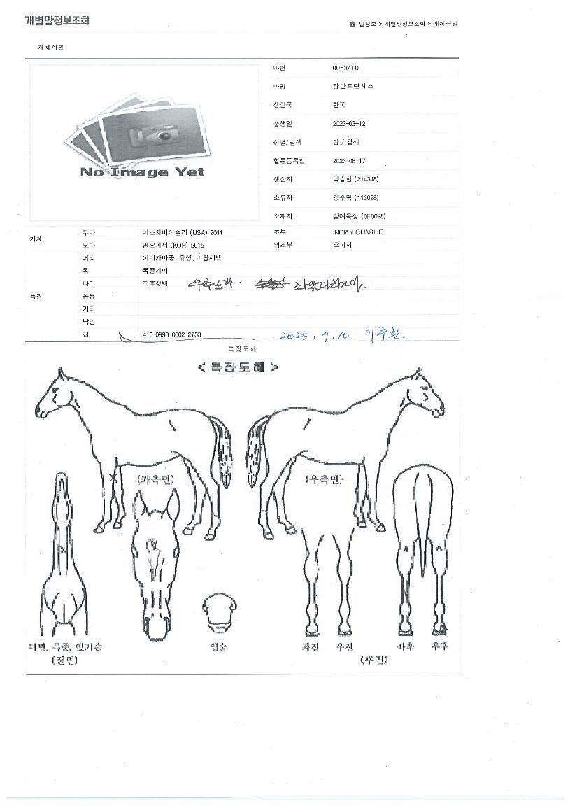 °ÇÑÇÁ¸°¼¼½ºÀÇ Ãø¸é,¿ì¸é,µÞ¸é,µÎ»ó,´Ù¸®ÀÇ Æ¯Â¡µµÇØ