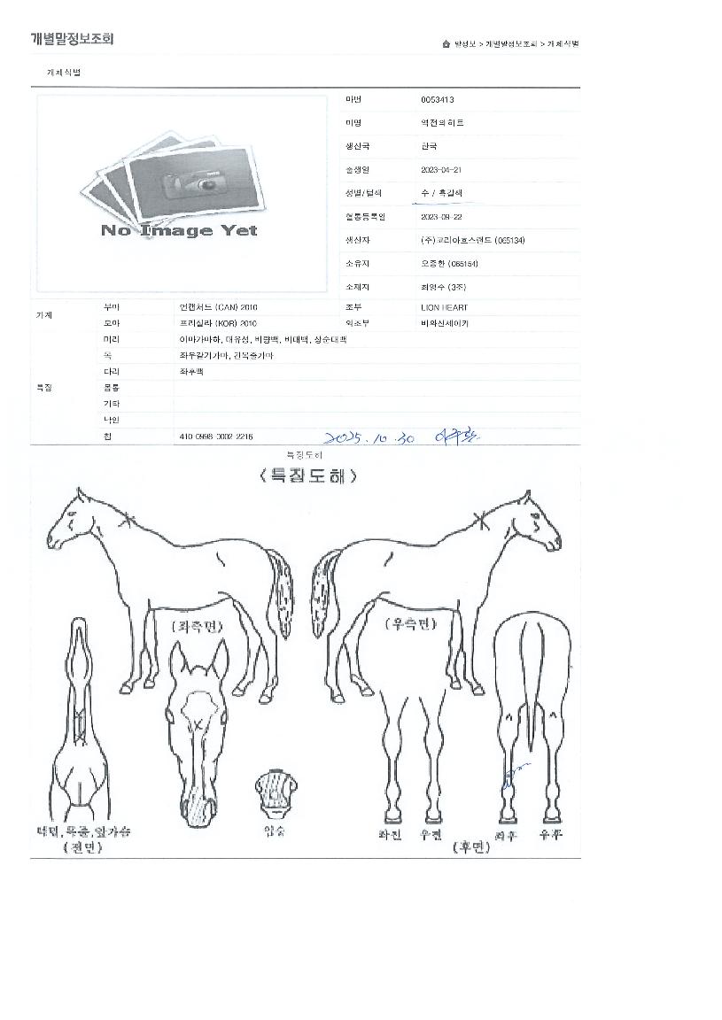 ¿ªÀüÀÇÈ÷Æ®ÀÇ Ãø¸é,¿ì¸é,µÞ¸é,µÎ»ó,´Ù¸®ÀÇ Æ¯Â¡µµÇØ