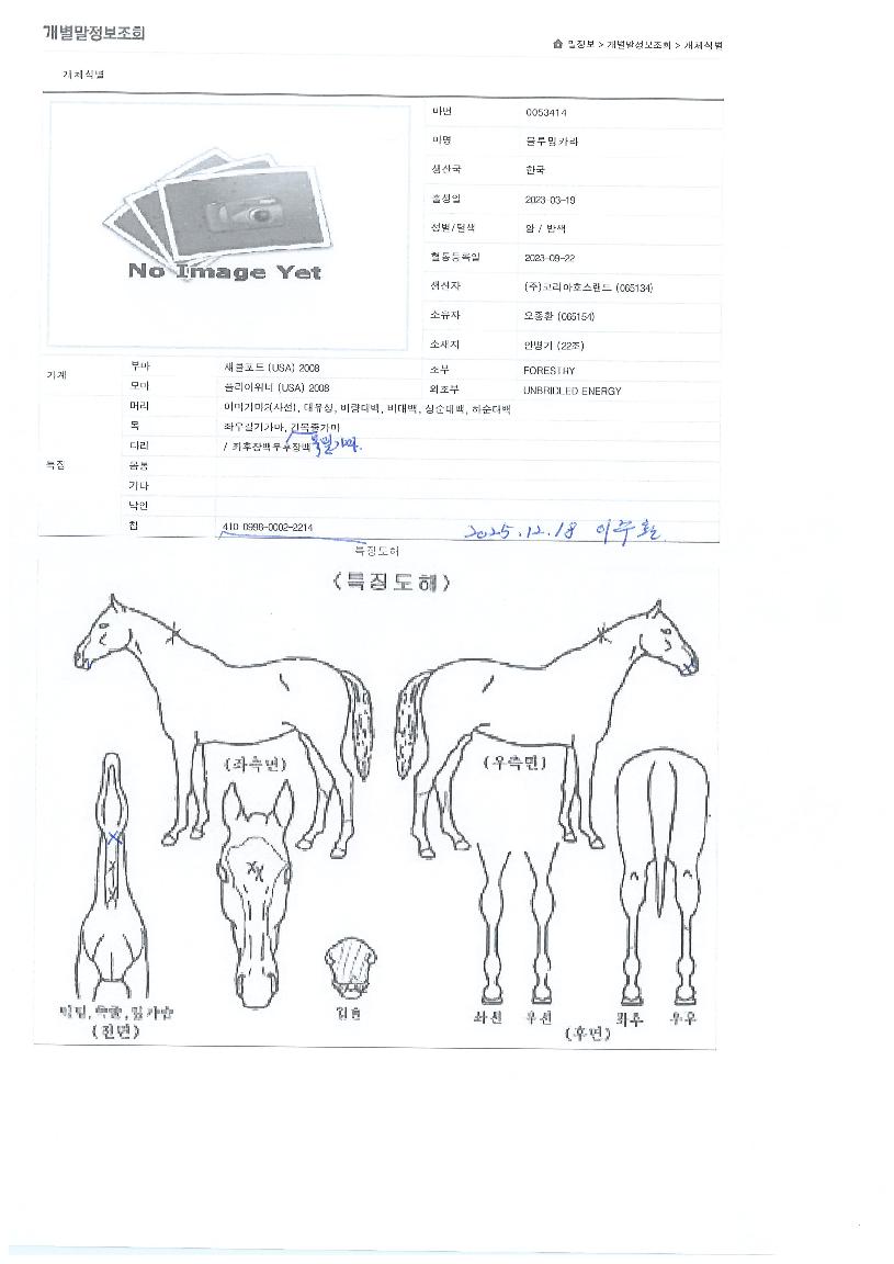 �����ī���� ����,���,�޸�,�λ�,�ٸ��� Ư¡����