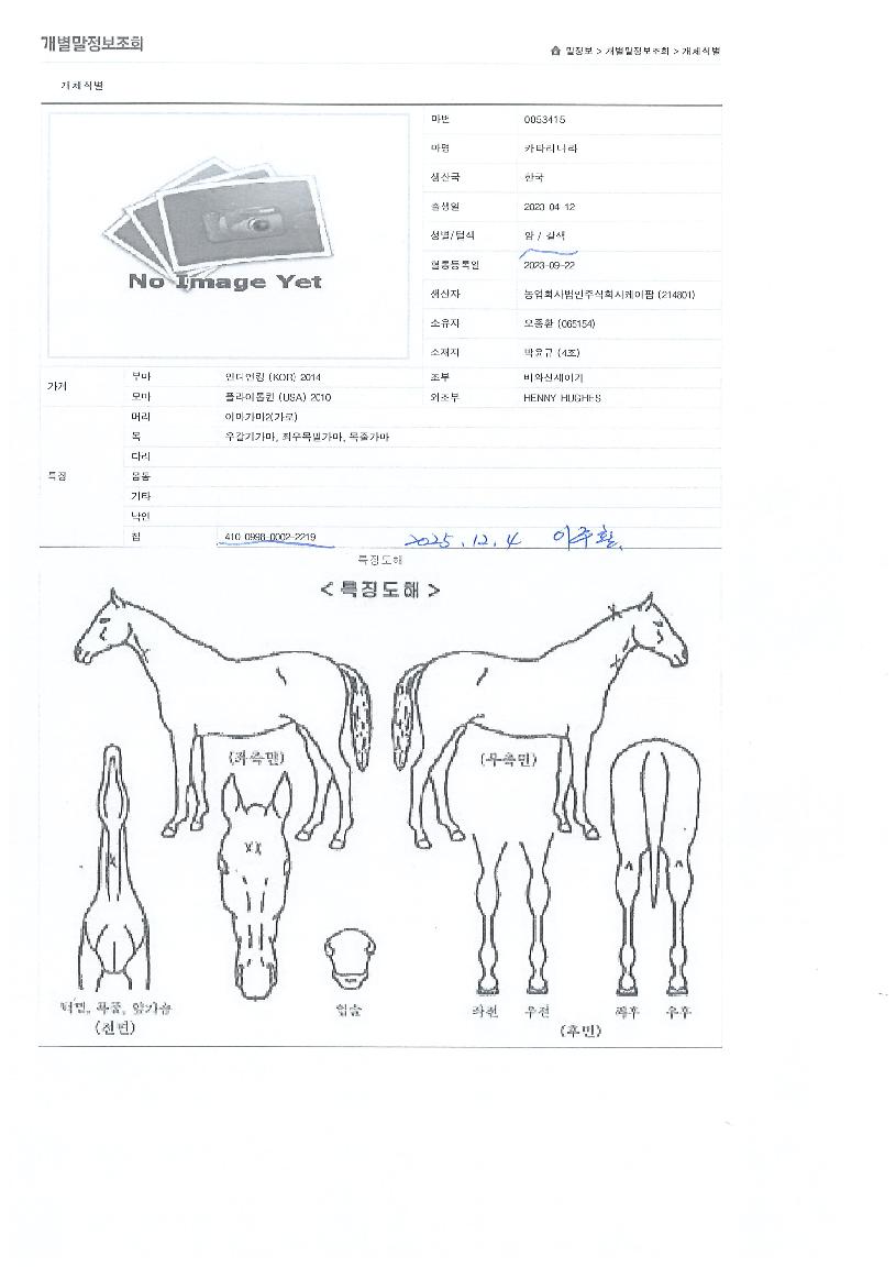 īŸ¸®³ª¶óÀÇ Ãø¸é,¿ì¸é,µÞ¸é,µÎ»ó,´Ù¸®ÀÇ Æ¯Â¡µµÇØ