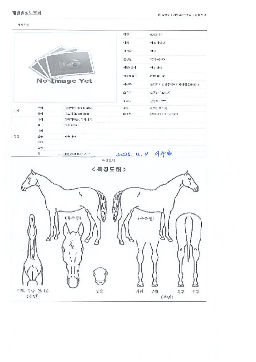 �������̾��� ����,���,�޸�,�λ�,�ٸ��� Ư¡����