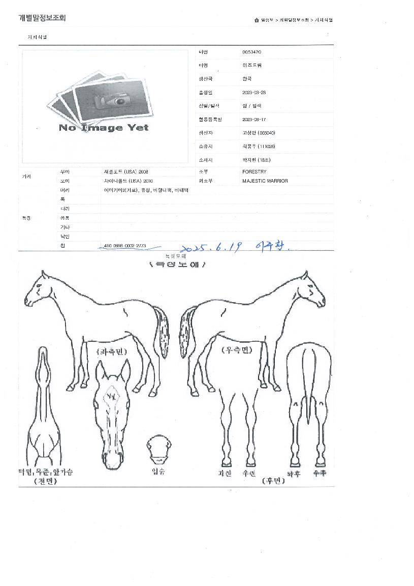 À§Áîµå¸²ÀÇ Ãø¸é,¿ì¸é,µÞ¸é,µÎ»ó,´Ù¸®ÀÇ Æ¯Â¡µµÇØ