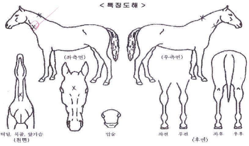 �������� ����,���,�޸�,�λ�,�ٸ��� Ư¡����