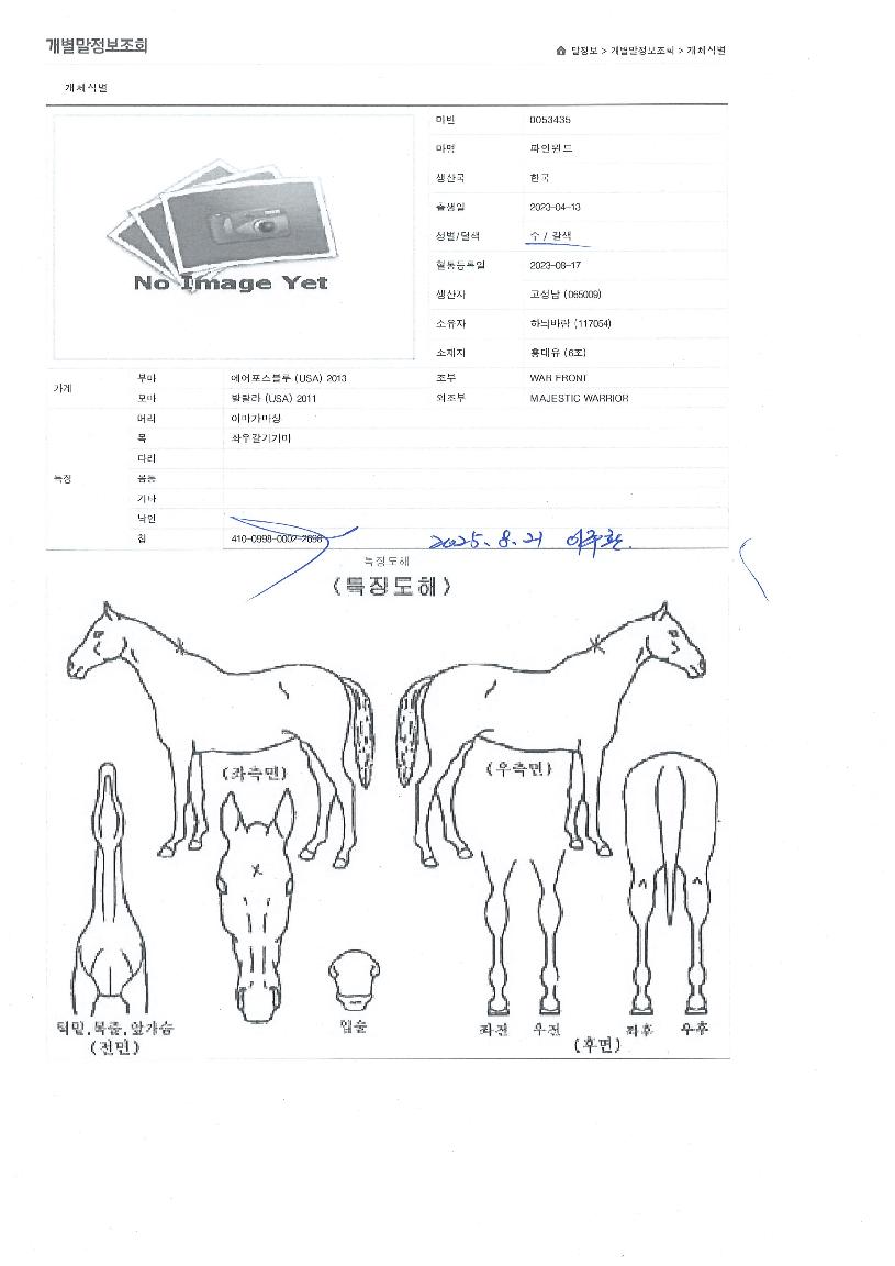 ���������� ����,���,�޸�,�λ�,�ٸ��� Ư¡����