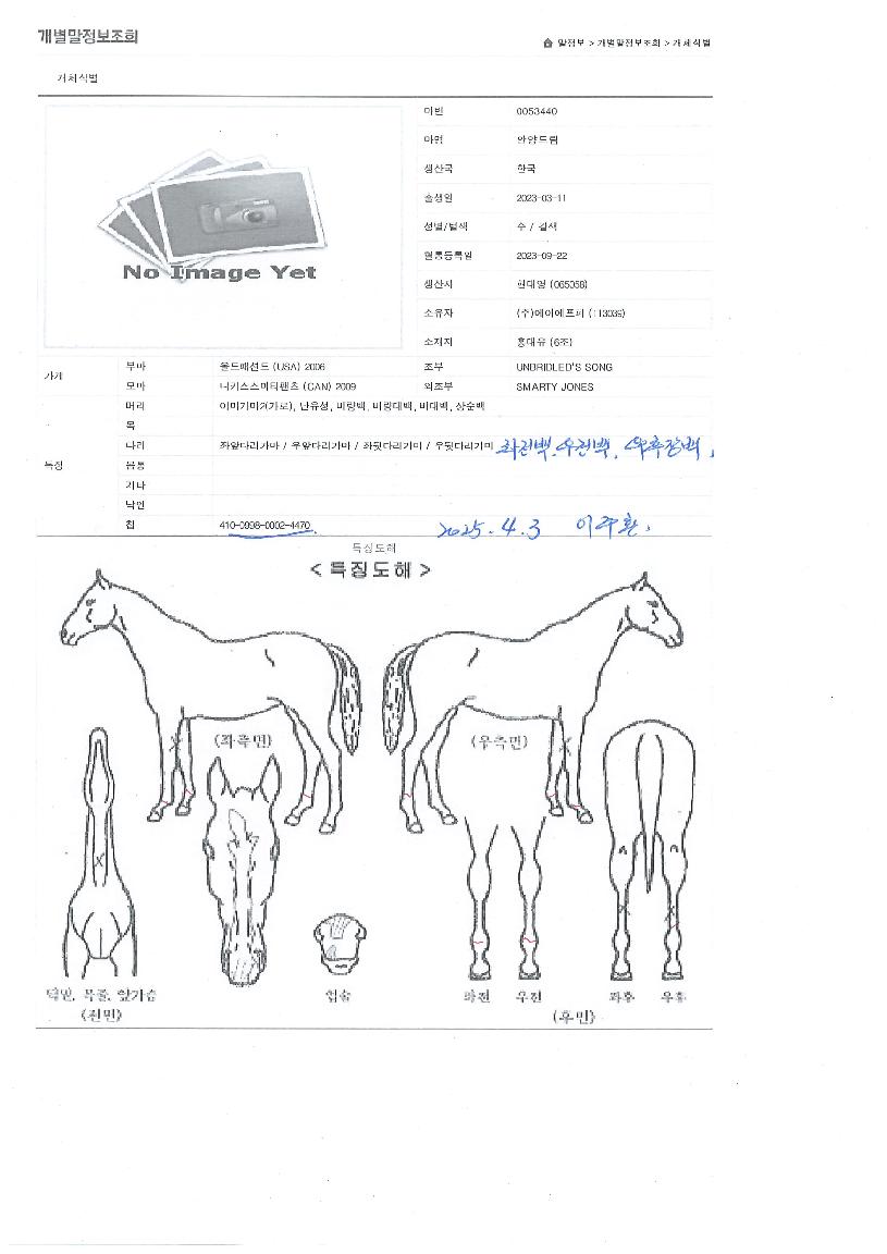 �Ⱦ�帲�� ����,���,�޸�,�λ�,�ٸ��� Ư¡����