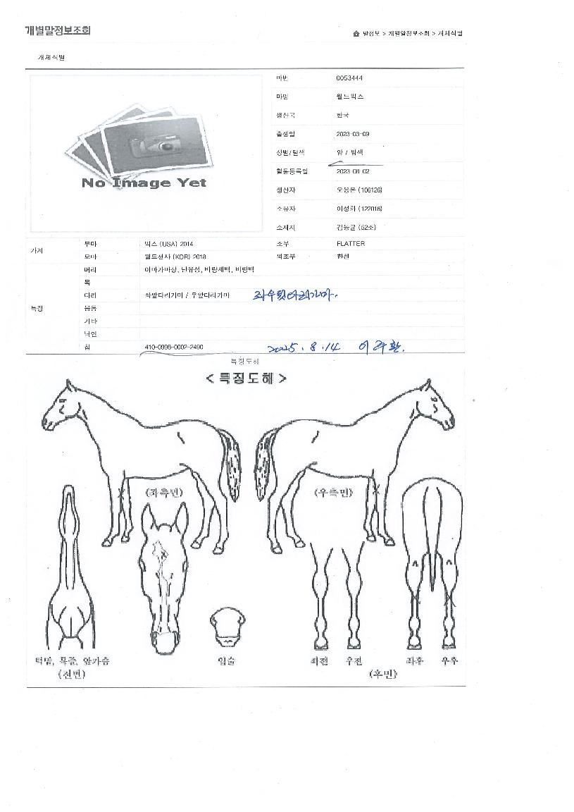 ������� ����,���,�޸�,�λ�,�ٸ��� Ư¡����