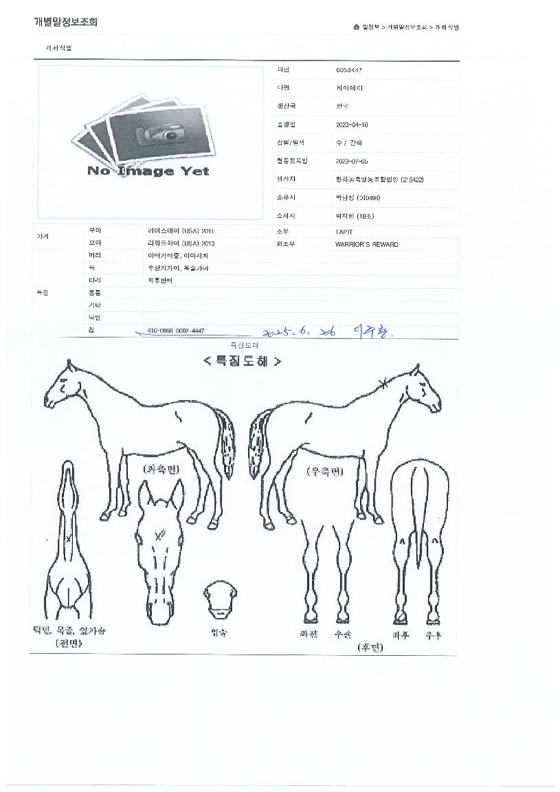 ÇÏÀ̵¥ÀÌÀÇ Ãø¸é,¿ì¸é,µÞ¸é,µÎ»ó,´Ù¸®ÀÇ Æ¯Â¡µµÇØ