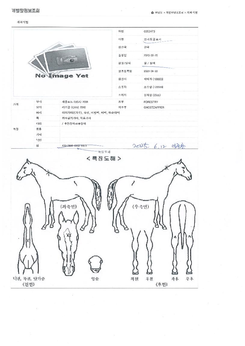 �긮���۷θ��� ����,���,�޸�,�λ�,�ٸ��� Ư¡����