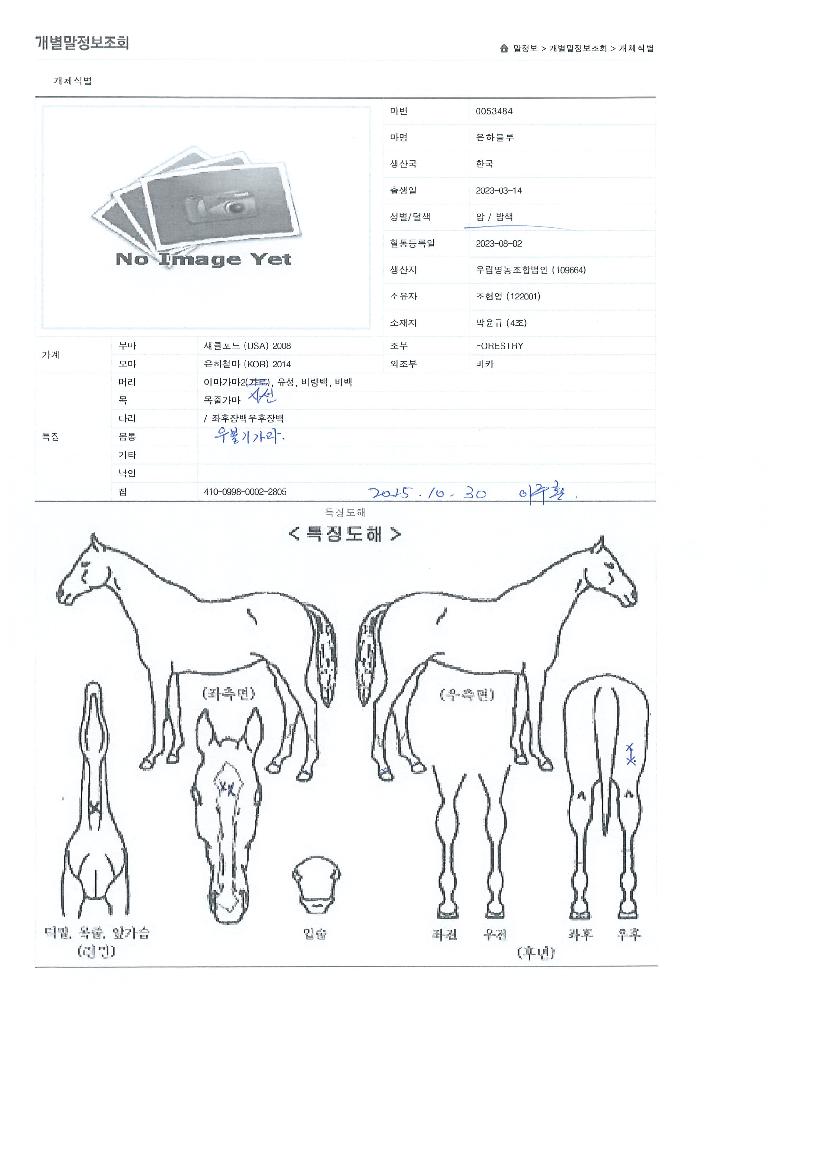 ���Ϻ����� ����,���,�޸�,�λ�,�ٸ��� Ư¡����