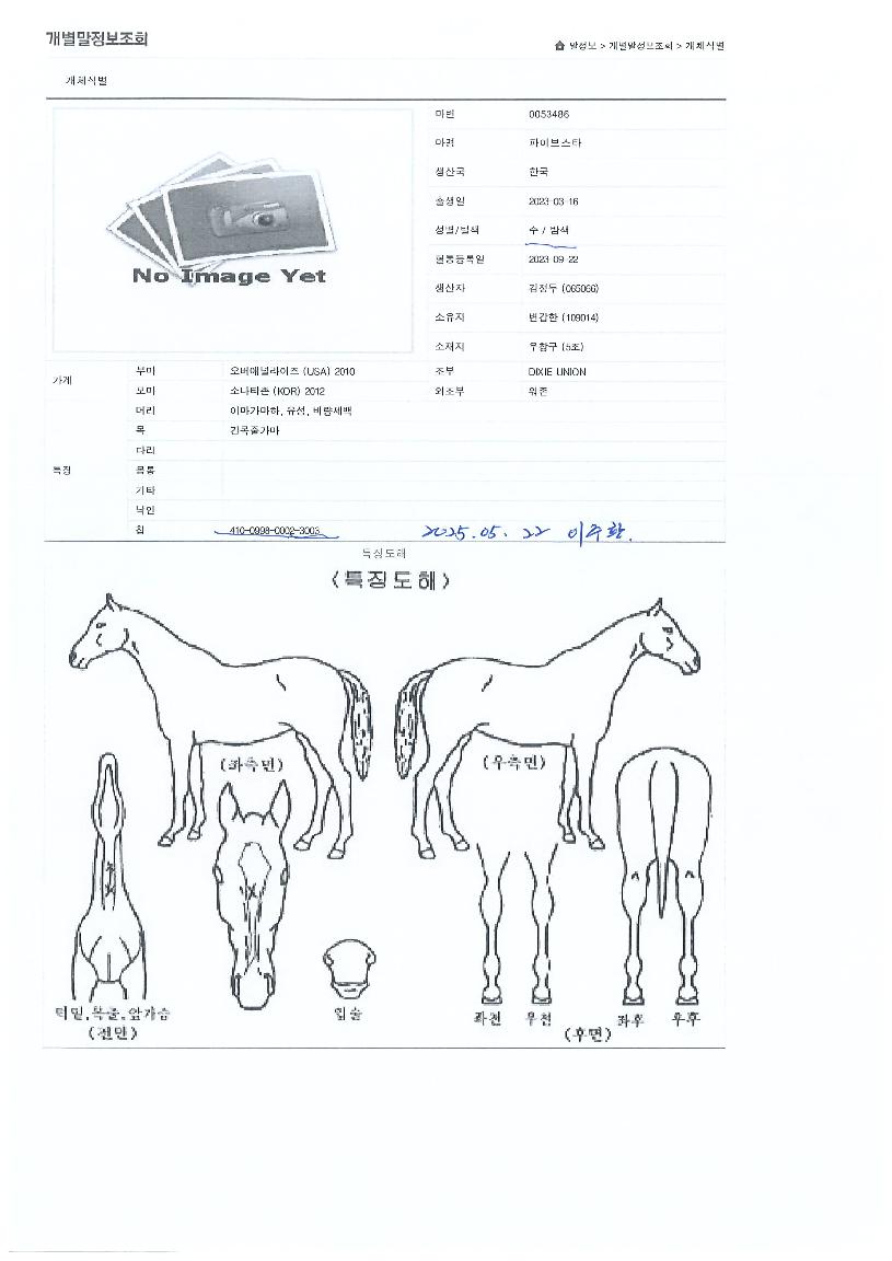 ÆÄÀ̺꽺ŸÀÇ Ãø¸é,¿ì¸é,µÞ¸é,µÎ»ó,´Ù¸®ÀÇ Æ¯Â¡µµÇØ
