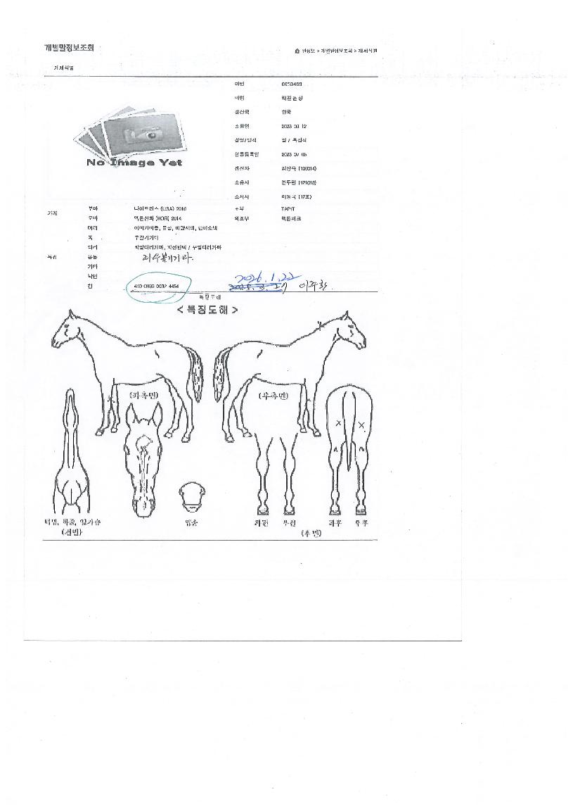 Äè°ÉÃáÇâÀÇ Ãø¸é,¿ì¸é,µÞ¸é,µÎ»ó,´Ù¸®ÀÇ Æ¯Â¡µµÇØ