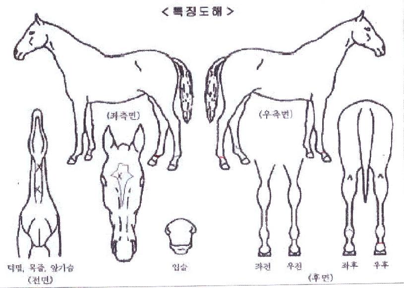 �������� ����,���,�޸�,�λ�,�ٸ��� Ư¡����