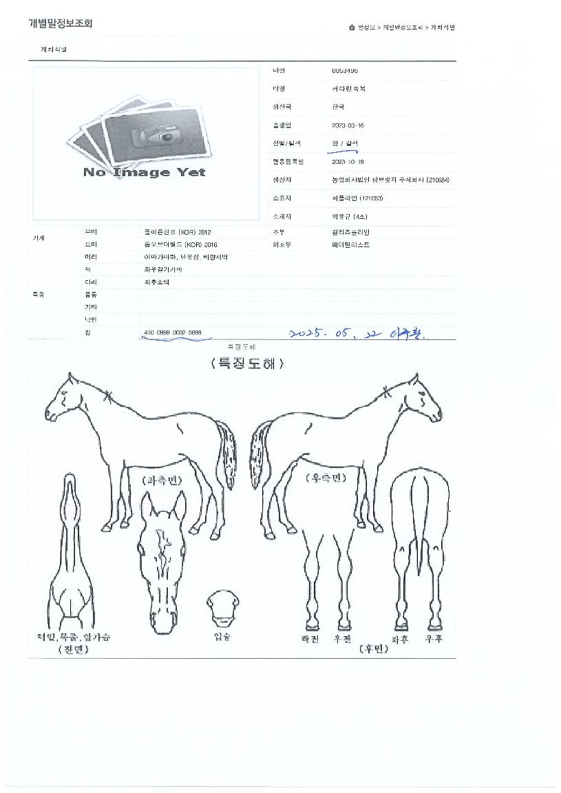 Ä¿´Ù¶õÃູÀÇ Ãø¸é,¿ì¸é,µÞ¸é,µÎ»ó,´Ù¸®ÀÇ Æ¯Â¡µµÇØ