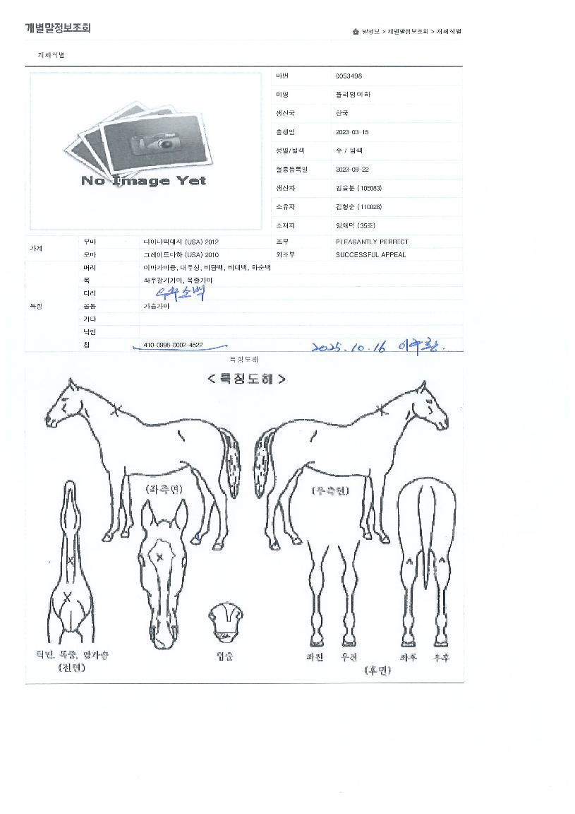 �ö��׸����� ����,���,�޸�,�λ�,�ٸ��� Ư¡����