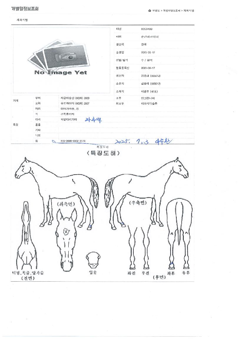 ¼ø°£ÀÇÆÄÀÌÅÍÀÇ Ãø¸é,¿ì¸é,µÞ¸é,µÎ»ó,´Ù¸®ÀÇ Æ¯Â¡µµÇØ