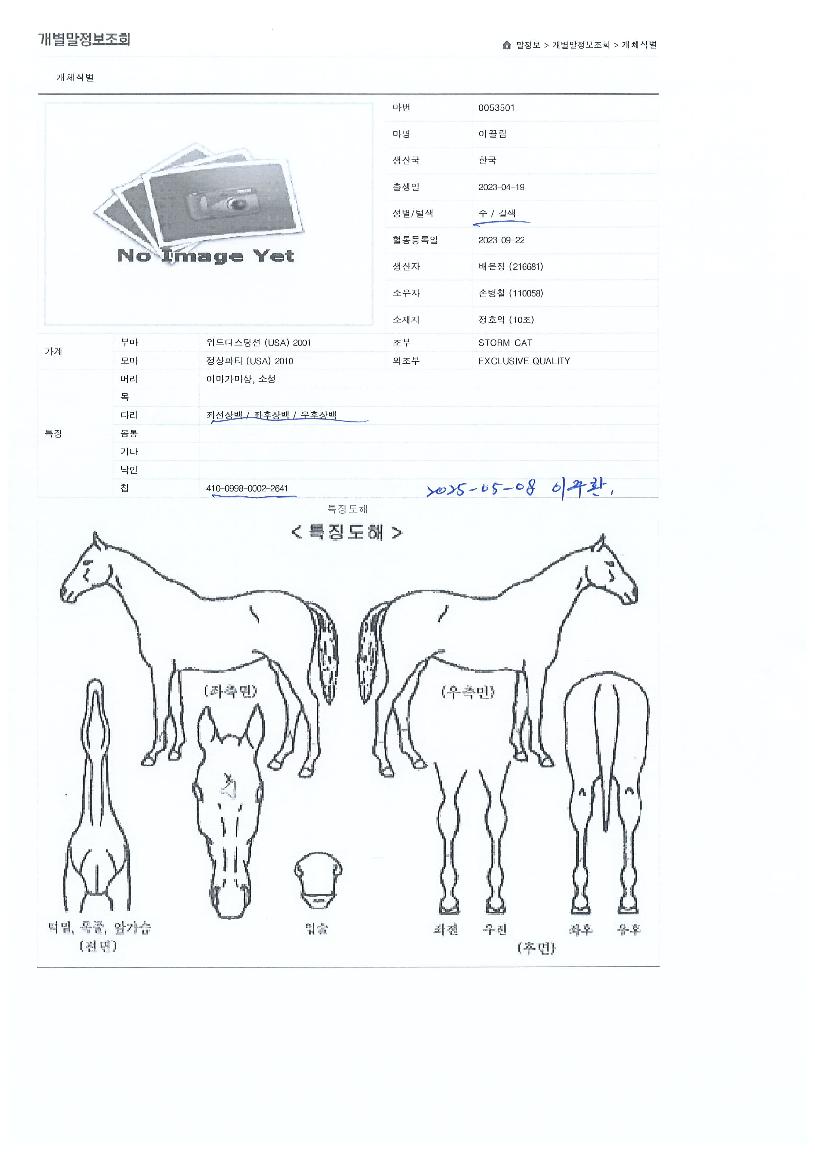 �̲����� ����,���,�޸�,�λ�,�ٸ��� Ư¡����