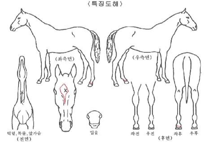 �̽������� ����,���,�޸�,�λ�,�ٸ��� Ư¡����