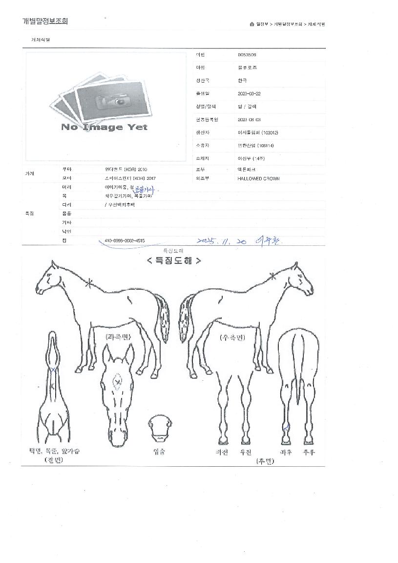 ��������� ����,���,�޸�,�λ�,�ٸ��� Ư¡����