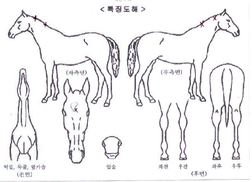 ����Ʈ�������� ����,���,�޸�,�λ�,�ٸ��� Ư¡����