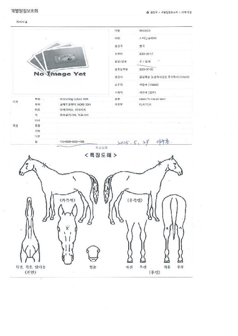 ½ºÅÍ´×Ä®¸®¹öÀÇ Ãø¸é,¿ì¸é,µÞ¸é,µÎ»ó,´Ù¸®ÀÇ Æ¯Â¡µµÇØ