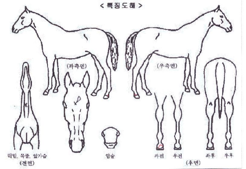 �����Ƿ�Ű�� ����,���,�޸�,�λ�,�ٸ��� Ư¡����