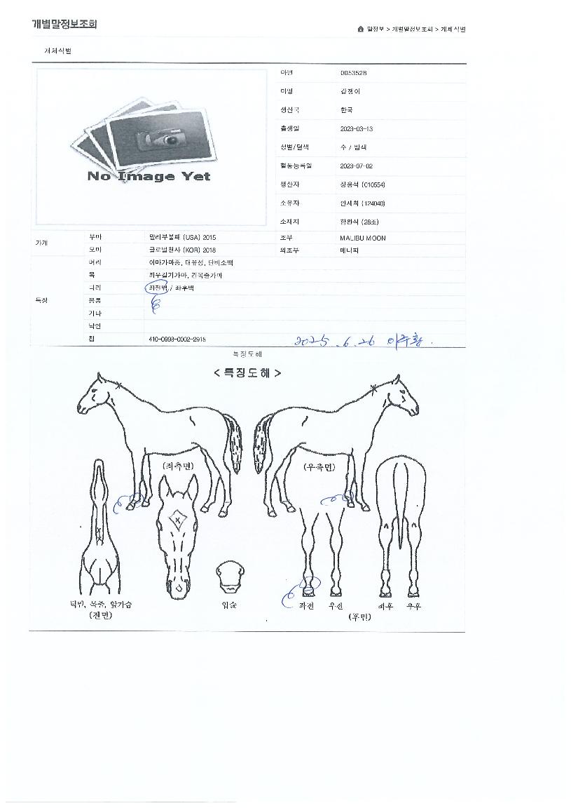 °©ÀïÀÌÀÇ Ãø¸é,¿ì¸é,µÞ¸é,µÎ»ó,´Ù¸®ÀÇ Æ¯Â¡µµÇØ