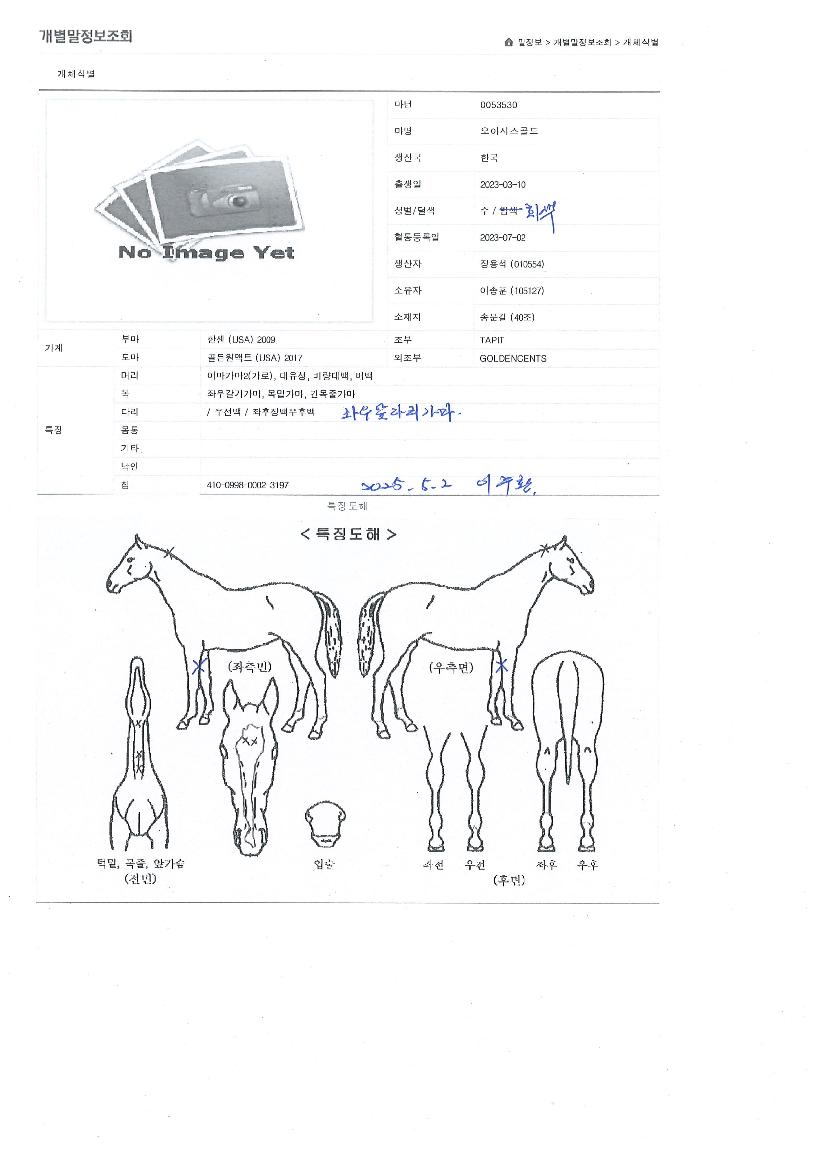 ¿À¾Æ½Ã½º°ñµåÀÇ Ãø¸é,¿ì¸é,µÞ¸é,µÎ»ó,´Ù¸®ÀÇ Æ¯Â¡µµÇØ