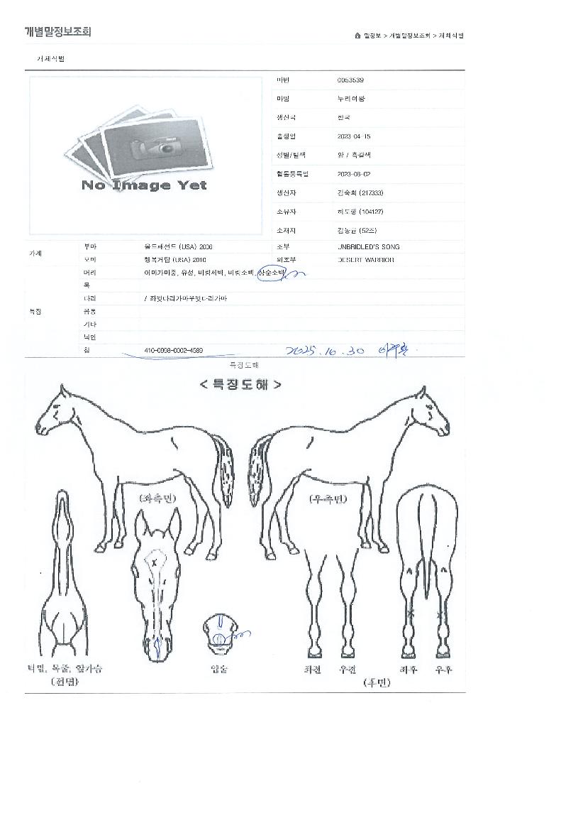 ���������� ����,���,�޸�,�λ�,�ٸ��� Ư¡����