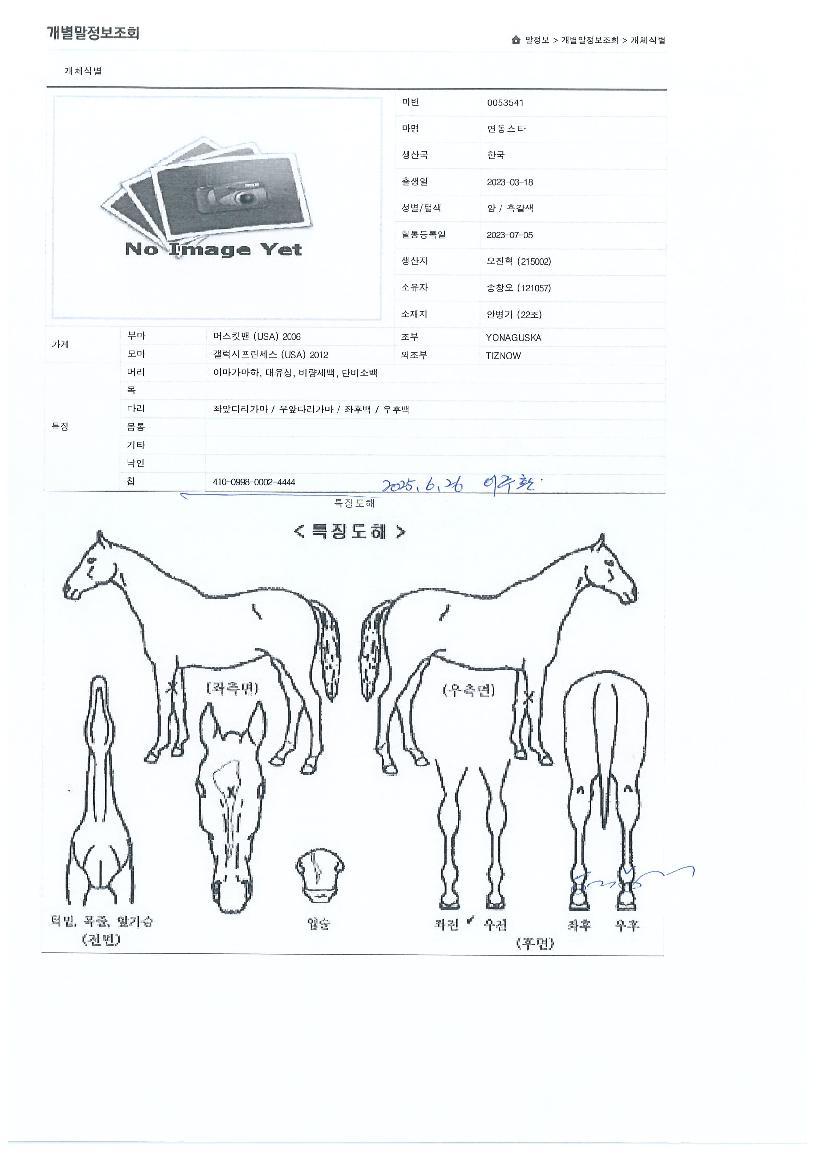 ¿¬µ¿½ºÅ¸ÀÇ Ãø¸é,¿ì¸é,µÞ¸é,µÎ»ó,´Ù¸®ÀÇ Æ¯Â¡µµÇØ
