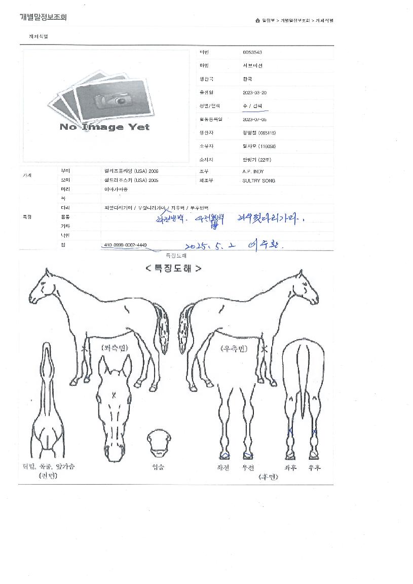 ¼ºê¹Ì¼ÇÀÇ Ãø¸é,¿ì¸é,µÞ¸é,µÎ»ó,´Ù¸®ÀÇ Æ¯Â¡µµÇØ