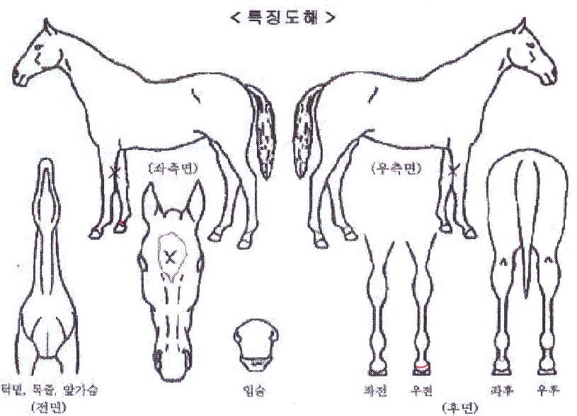 �������ð��� ����,���,�޸�,�λ�,�ٸ��� Ư¡����