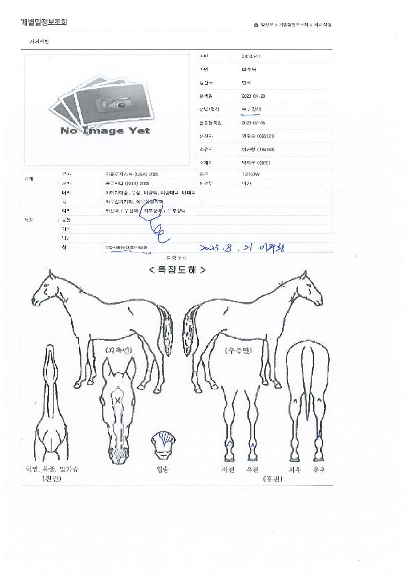 ȭ������ ����,���,�޸�,�λ�,�ٸ��� Ư¡����