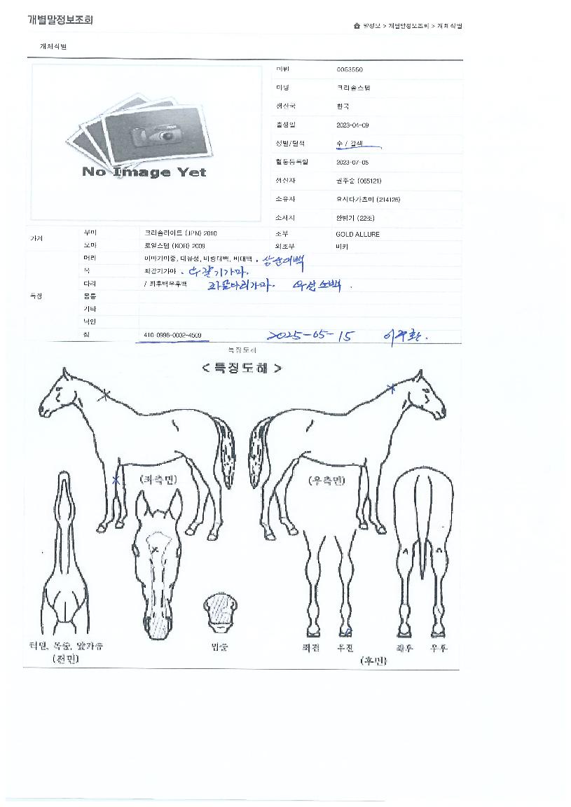 Å©¸®¼Ö½ºÅÜÀÇ Ãø¸é,¿ì¸é,µÞ¸é,µÎ»ó,´Ù¸®ÀÇ Æ¯Â¡µµÇØ