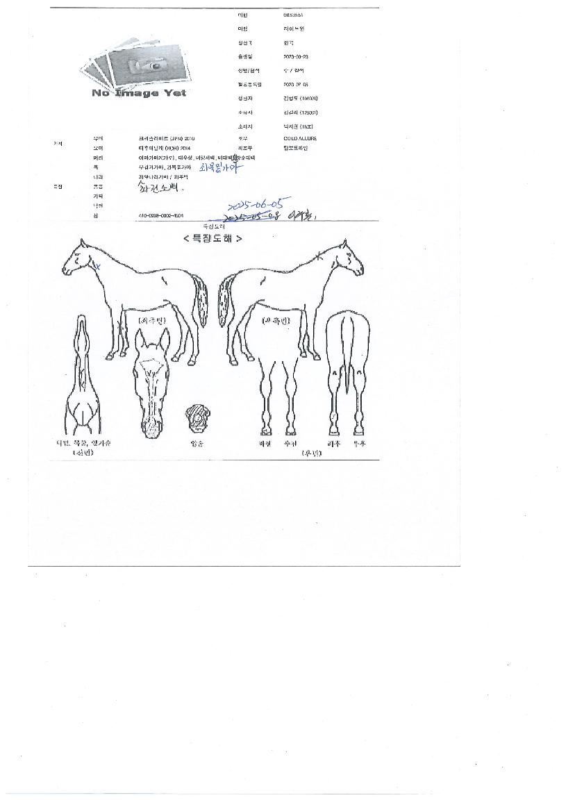 ����Ʈ���� ����,���,�޸�,�λ�,�ٸ��� Ư¡����