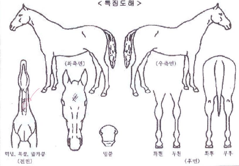 è��������� ����,���,�޸�,�λ�,�ٸ��� Ư¡����