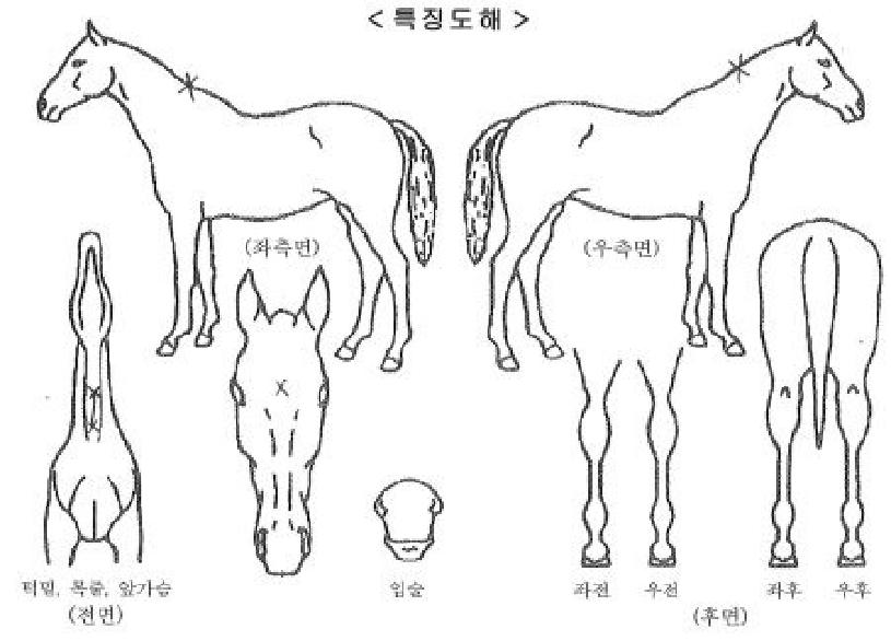 è���ǻ���� ����,���,�޸�,�λ�,�ٸ��� Ư¡����