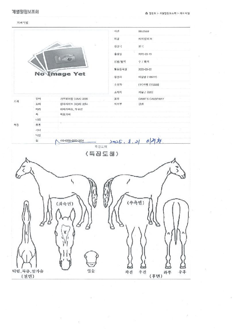 ���̾��Ʈ�� ����,���,�޸�,�λ�,�ٸ��� Ư¡����