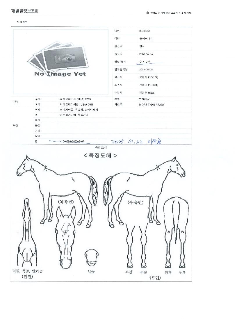 �÷��̸�ġ�� ����,���,�޸�,�λ�,�ٸ��� Ư¡����