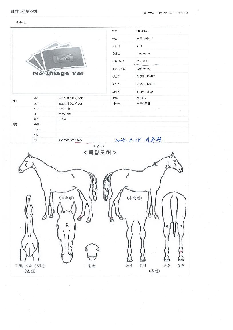 Æ÷Æ®·¹À̸ÅÄ¡ÀÇ Ãø¸é,¿ì¸é,µÞ¸é,µÎ»ó,´Ù¸®ÀÇ Æ¯Â¡µµÇØ