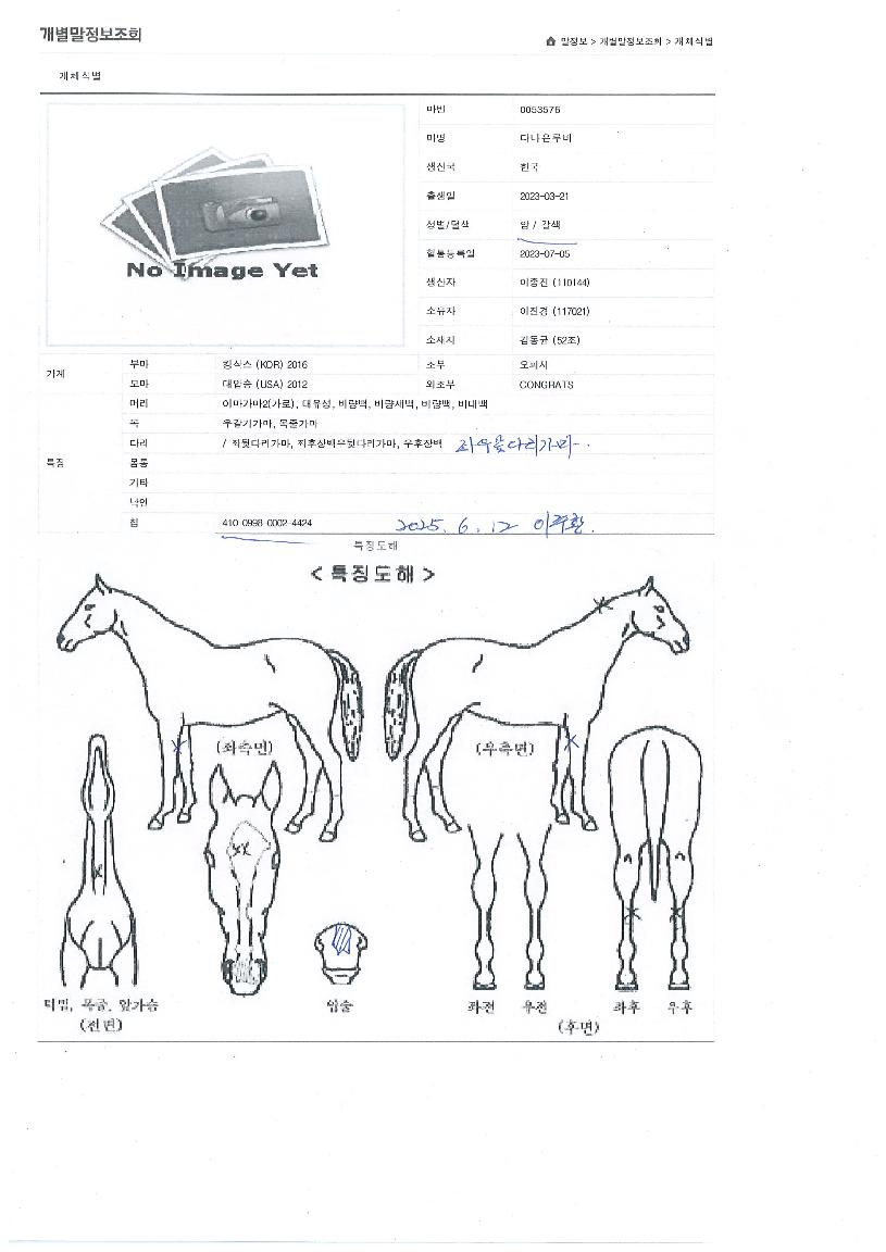 �ٳ�������� ����,���,�޸�,�λ�,�ٸ��� Ư¡����