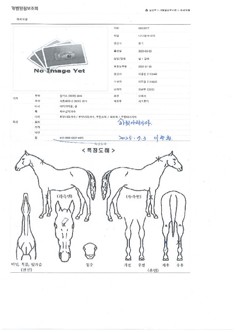 ´Ù³ªÀº·¹À̵ðÀÇ Ãø¸é,¿ì¸é,µÞ¸é,µÎ»ó,´Ù¸®ÀÇ Æ¯Â¡µµÇØ