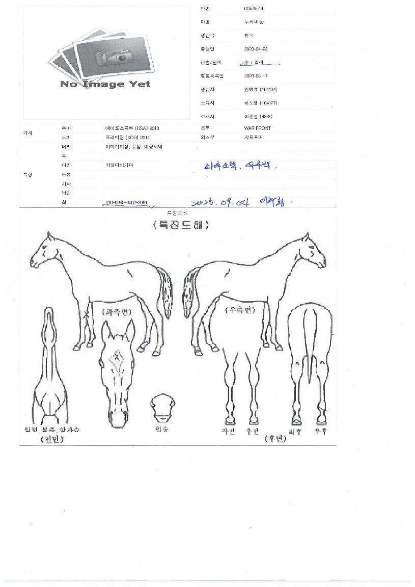 ´©¸®ºñ»óÀÇ Ãø¸é,¿ì¸é,µÞ¸é,µÎ»ó,´Ù¸®ÀÇ Æ¯Â¡µµÇØ
