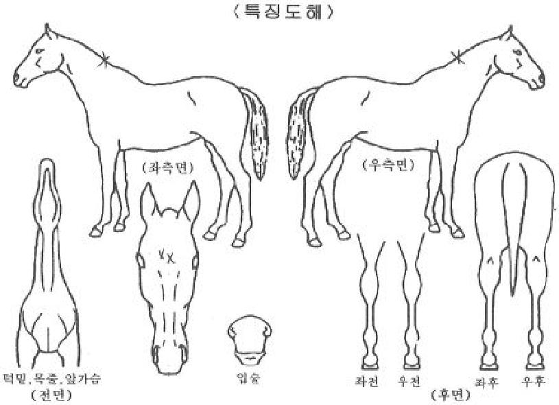 ��ũ�����ڸ��� ����,���,�޸�,�λ�,�ٸ��� Ư¡����